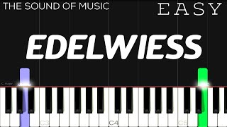 Edelweiss from “The Sound Of Music” | EASY Piano Tutorial screenshot 3