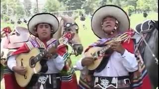 Video thumbnail of "TRIO COLQUEMARCA Caballo blanco (Huayno Cusco)"