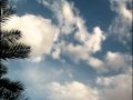 نشيـدة اولائـك ابائـــي