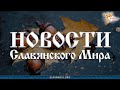 Черные дыры, красная планета и почему дельфины выбрасываются на берег