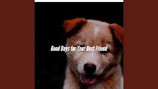 Inspiring Slacking Doggy