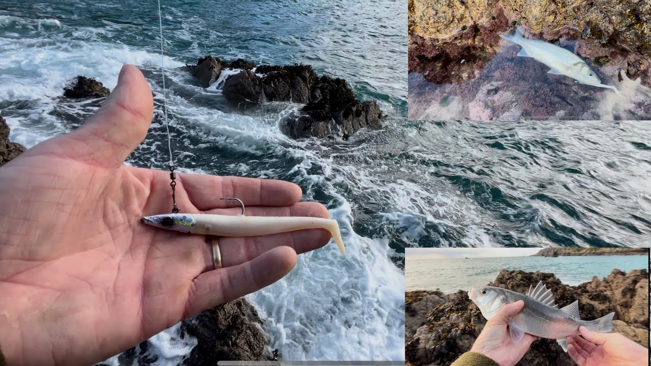 Bass fishing with lures ROD bending action WHY does this lure WORK ever time!!