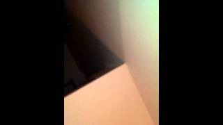 Psycho Screaming Clodhopper