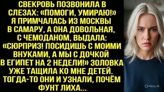 видео: Примчалась из Москвы в Самару спасать свекровь, а там она выдала: «Посидишь внуками, а мы в Египет!» картинка: Примчалась из Москвы в Самару спасать свекровь, а там она выдала: «Посидишь внуками, а мы в Египет!»