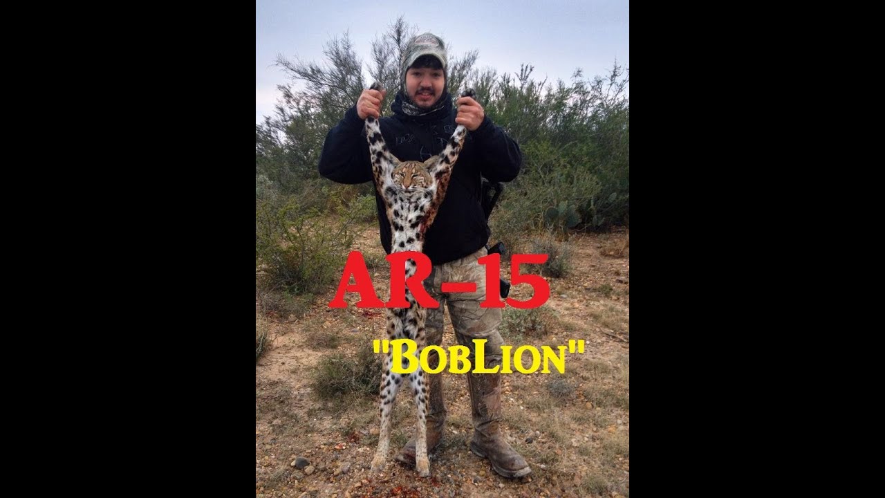 AR15 Predator Hunting in Texas Massive "Lion" down YouTube
