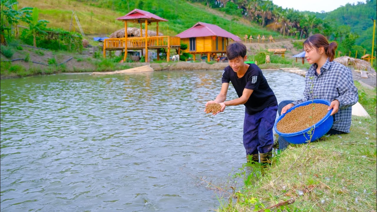 Making drainage pipes for fish ponds, weeding ponds, feeding fish