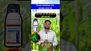 Paraquat dichloride 24 sl herbicide that kills all weeds #shorts #herbicide #farmer