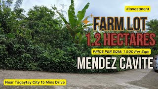 FARM LOT HUNTING?, Available 1.2 Hectares FOR SALE! @ Mendez Cavite Near Tagaytay #investment