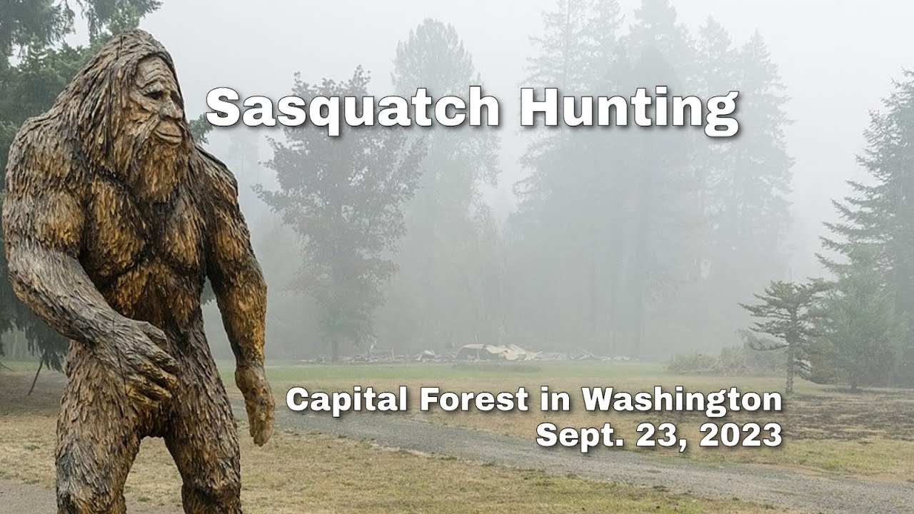 Sasquatch Hunting in the Capital Forest YouTube