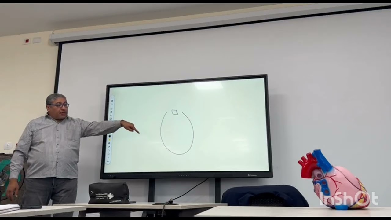Development of cardiovascular system part (2), fetal circulation and congenital anomalies of heart 