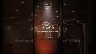 Quran pak dil ka sakoon best filling ✨❤️✨❤️❤️✨❤️✨❤️✨❤️ #dilkosukoon #islamicscripture #islamicvideo