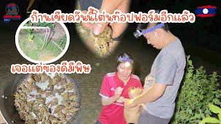 ก้านเขียดวันนี้โต่นท๊อปฟอร์มอีกแล้วเจอแต่ของดีมีพิษ|ToiyYoiy