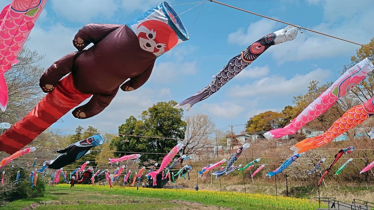 こいのぼり こいのぼり 日本の風景 location ぴんころ地蔵尊 #佐久市 Shared from