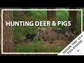 Hunting Aotearoa S02EP04 - Hunting Deer & Pig
