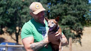 Environmental I'm honored to be giving 12 year old Joey the best life possible for the rest of his years Station Image