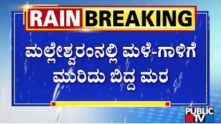 Huge Tree Falls Down In Malleshwaram 7th Cross | Bengaluru Rain