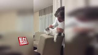 İnsan Dostuna Masaj Yaptıran Sülalesi Rahat Kedi
