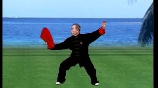 太極功夫扇 I part B Tai Chi Taiji Kung Fu Fan tutorial with English sub