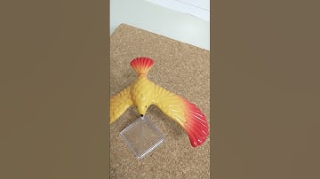Balance Bird / Center of Gravity Demo Video