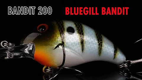 Bandit 200 Bluegill Bandit - Lurenet Paint Shop ( Custom Painted Lures)