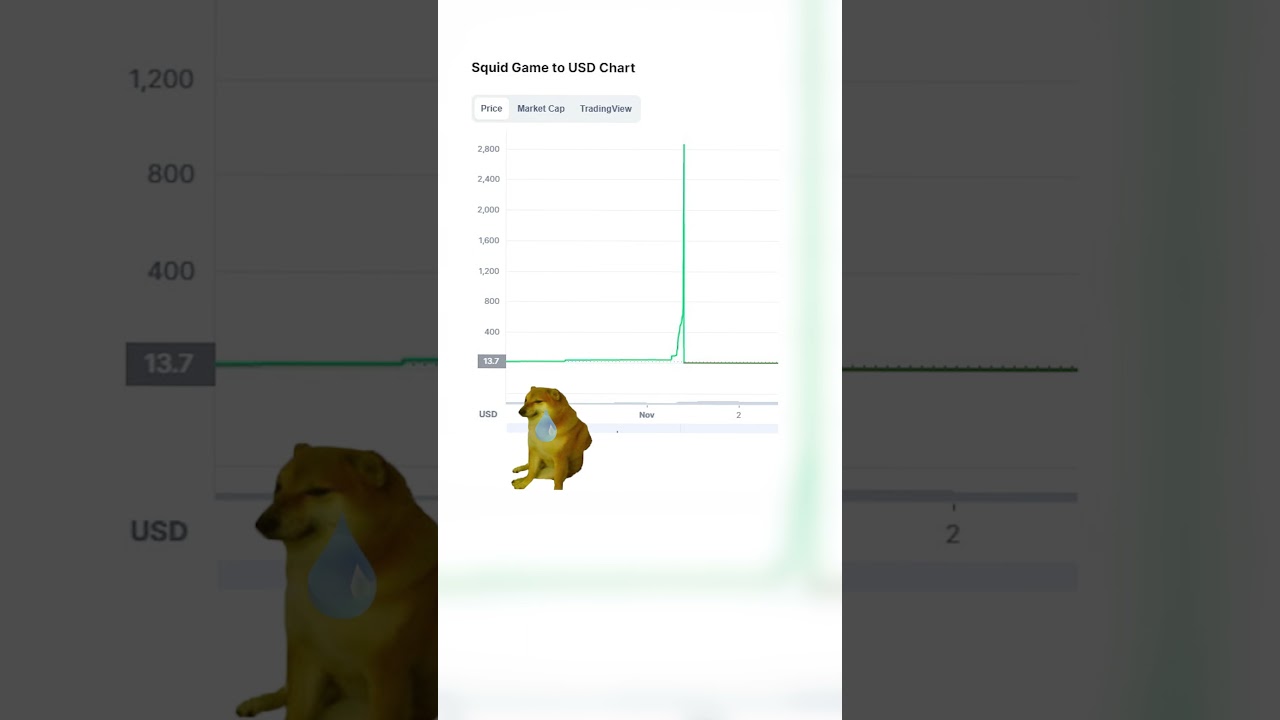 SQUID GAME COIN /TOKEN 