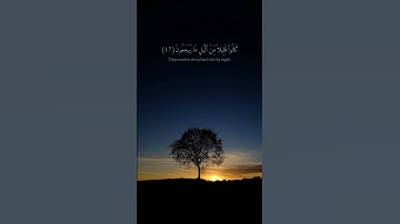 آيات بينات من الذكر الحكيم #راحة_نفسية