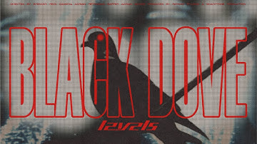 LEVELS - Black Dove (OFFICIAL MUSIC VIDEO)