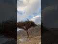 حركة السحب