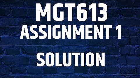 MGT613 Assignment solution no 1 💯 Correct