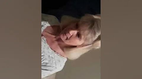 Sheila Van Horn Stokes comedy