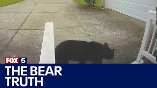 Black bear pays Georgia woman a visit | FOX 5 News