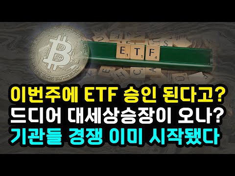 비트코인 현물 ETF 이번주 승인 가능할까? 블랙록 피델리티 아크 기관 경쟁 시작되었다 대세 상승장 돌입? / 이더리움 리플 솔라나