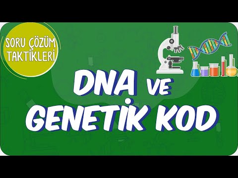 Video: DNA ile kaç tane soğuk vaka çözülür?