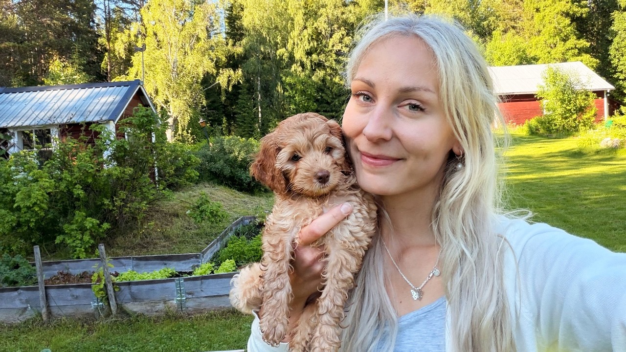 A New Little Soul Joins My Life: Welcoming Lumi