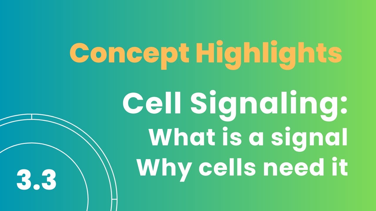 3.3A Что такое сигнал и какова цель клеточной сигнализации?