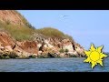 Отдых в Южном. Дикий пляж и уединение. Фотопрогулка. Красивая музыка ☀SunVideo