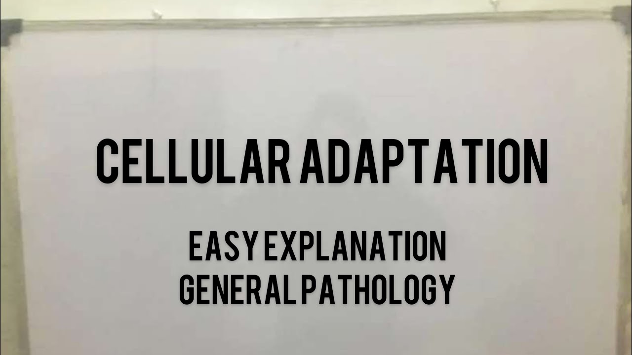 cellular adaptation easy explanation general pathology in Urdu Hindi ...