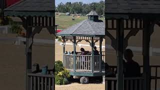 AEC Hunter O'Riley Dressage 2024