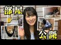 【地下アイドル】保護猫２匹と暮らす8畳の部屋紹介【車椅子生活の工夫など】