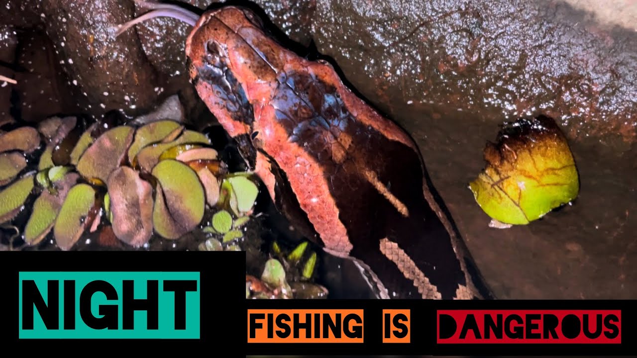 ഇനി ഉള്ള നൈറ്റ് ഫിഷിങ്ങിൽ ഇവരൊക്കെ നമ്മുടെ കൂടെ ഉണ്ടാകും