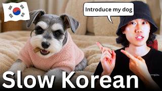 Talking About My Dogs Feelings in Slow Korean