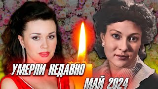 АНАСТАСИЯ ЗАВОРОТНЮК И ДРУГИЕ ПОТЕРИ ПОСЛЕДНИХ ДНЕЙ. МАЙ 2024 ГОД