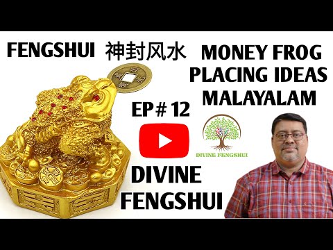 EPISODE # 12|MONEY FROG PLACING IN FENGSHUI |WHERE TO PLACE MONEY FROG AT HOME |FENGSHUI MALAYALAM|