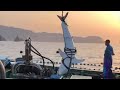 危険すぎるサメの捕り方（Catch a shark in Japan)