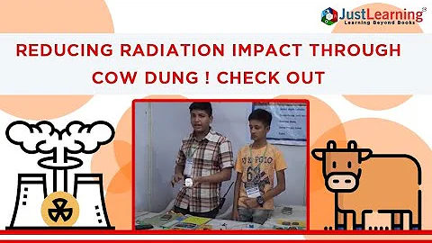 Can onion stop radiation?