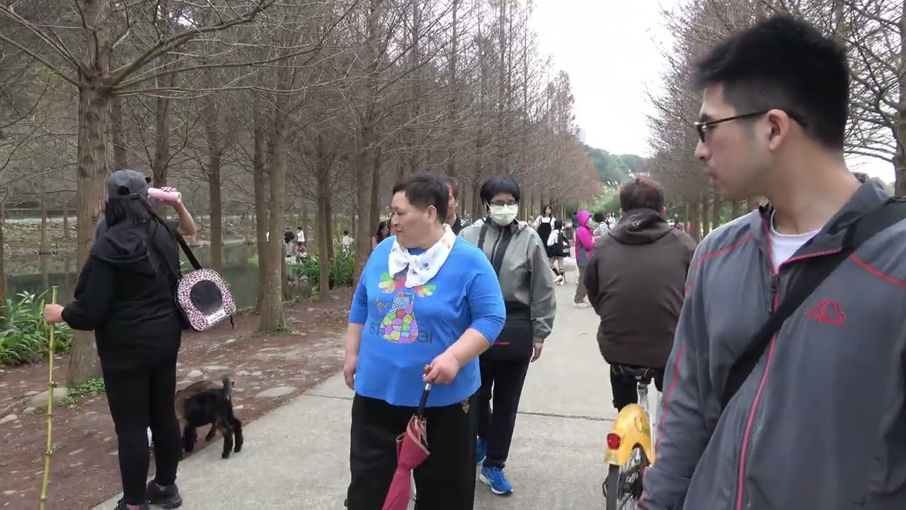 2025春節年初五趁好天氣桃園一日遊4K