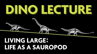 Living Large: Life as a Sauropod  Dino Lecture 2023