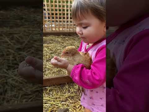 نم نم   اكسبلور  ترند  ترند تيك توك  تصميم 