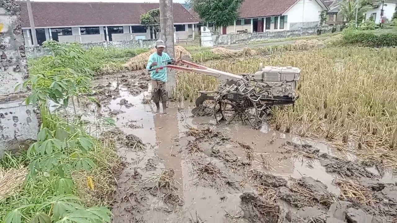 BAJAK SAWAH PART 2