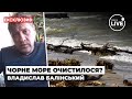 ⚡️ Екологія Чорного моря! Наскільки страшне забруднення зараз? / БАЛІНСЬКИЙ | Odesa.LIVE